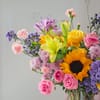 Buy Bold & Beautiful