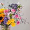 Shop Bold & Beautiful
