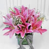Gift Bouquet of Pink Lilies in Square Vase (6 Stems)