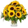 Bouquet Sunflowers Pure