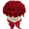 Box with 41 Red Roses Online