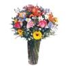 Bright and Beautiful Online