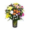 Bright and Beautiful Online