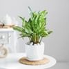 Bright Beginning Online