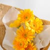 Buy Bright Gerberas Bouquet