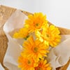 Buy Bright Gerberas Bouquet For Teacher's Day