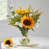 Gift Brighten Dad's Day