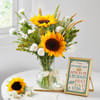 Brighten Dad's Day