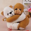 Brown &Grey Hugging Teddy Soft Toy Online