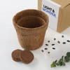 Brown Round Coco Pot Online