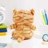 Shop Brown Soft Toy Cat with Magic Mug Gift for Rakhi