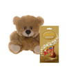 Brown Teddy with Chocolate Bag Online