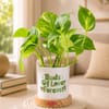 Gift Buds of Love Money Plant For Friends