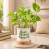 Buds of Love Money Plant For Friends