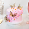 Butterfly Blush Treat 600 Gms Online