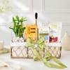 Calm & Indulgence Bamboo Plant Gift Hamper