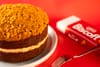 Caramelswirl Christmas Biscoff Cake