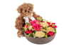 Celebrate and Teddy 250360