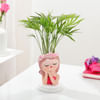 Gift Chamaedorea Plant With Beauty Planter