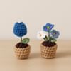 Charming Blue Crochet Blooms Duo Online