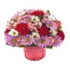 Charming Carnations And Daisies Arrangement Online