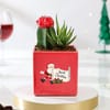Shop Charming Christmas Plants Duo