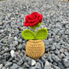 Gift Charming Handcrafted Crochet Rose Pot