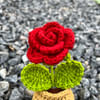 Buy Charming Handcrafted Crochet Rose Pot