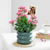 Charming Mother's Day Kalanchoe Plant Online