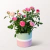 Charming Rose Carousell Pot