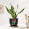 Gift Cheers For Growth - Snake Plant In Black Planter