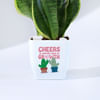 Gift Cheers To Another Year Of Growth Snake Plant