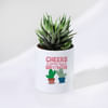 Cheers To The New Year - Haworthia Plant With Pot Online