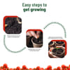Shop Cherry Tomato Garden Kit For Secret Santa
