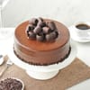 Shop Choco Craze Cake and Purple Flowers Combo