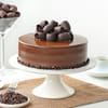 Gift Choco Craze Fudge Cake