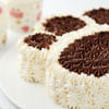 Shop Choco Cream Paw Cake (2 Kg)