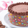 Shop Chocolate Bliss Cake