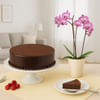 Chocolate Cake & Orchid Online
