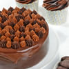 Shop Chocolate Truffle Cream Cake