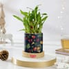 Christmas Cheer Bamboo Plant And Planter