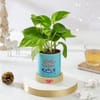 Gift Christmas Money Plant Ceramic Planter Gift