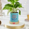 Buy Christmas Money Plant Ceramic Planter Gift