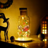 Gift Christmas Special LED Bottle