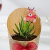 Buy Christmas Zebra Succulent Gift Pot