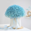 Gift Cloudy Bliss Blue Gypso Arrangement