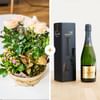 Coin de paradis et son champagne Devaux Online