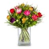 Colorful Bouquet of Tulips