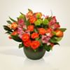 Colorful smile Online
