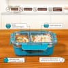 Gift Compartment Tiffin 580 ml